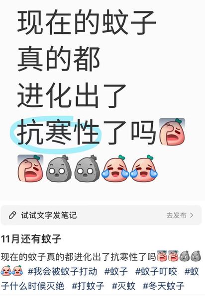 啊啊啊都冬天了，为什么最近还这么多蚊子？！