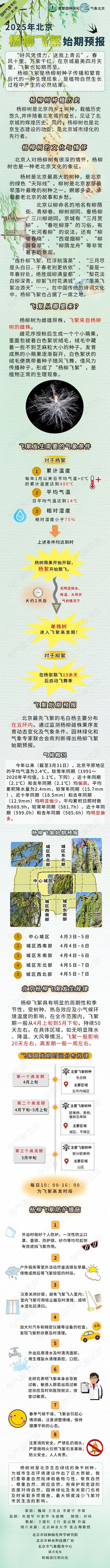 注意防护！北京发布今年首个杨柳飞絮预报 中心城区最先开始