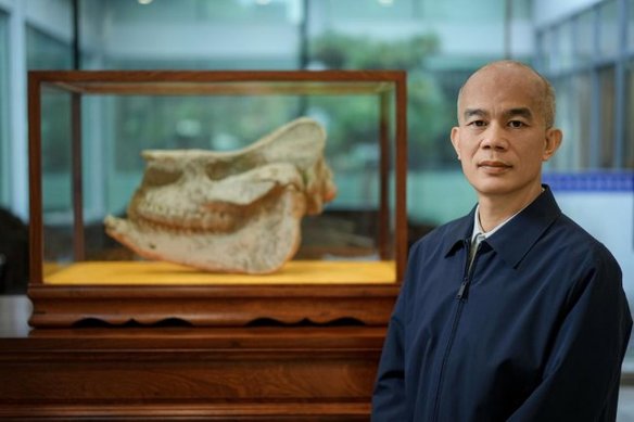 我国医学AI突破大模型核心瓶颈