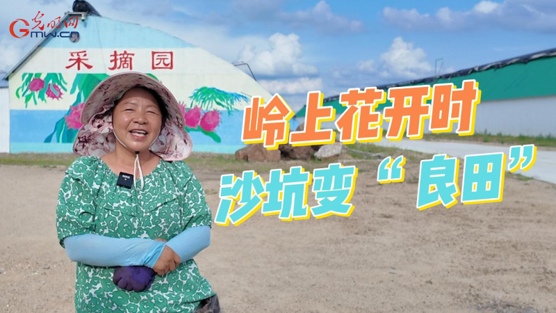 石榴花开北疆红 籽籽同心家国情|从废弃沙坑到 “小三亚” 内蒙古这个嘎查藏着致富甜果 石榴花开北疆红 籽籽同心家国情|从废弃沙坑到 “小三亚” 内蒙古这个嘎查藏着致富甜果