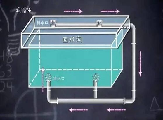 被吸住溺亡!泳池这个地方快远离