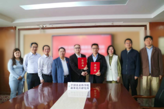 莱菔硫烷，能否成为抗癌新先锋？为何率先在中国实现突破？谁是背后的“关键先生”？何时可以惠及患者？