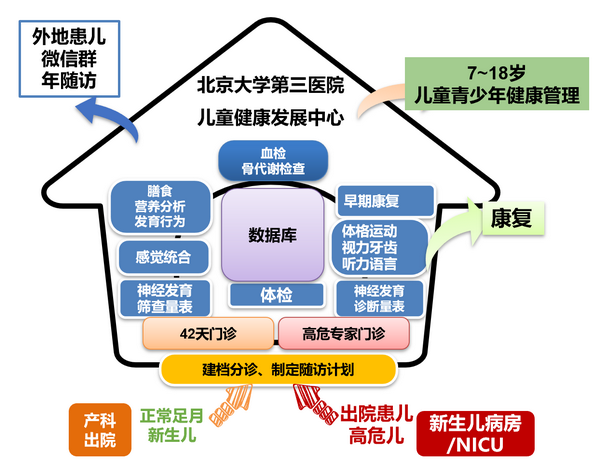 北京大学第三医院儿科:以“生命最初1000天”为支点,构建从产前到成年全周期健康守护链 北京大学第三医院儿科:以“生命最初1000天”为支点,构建从产前到成年全周期健康守护链
